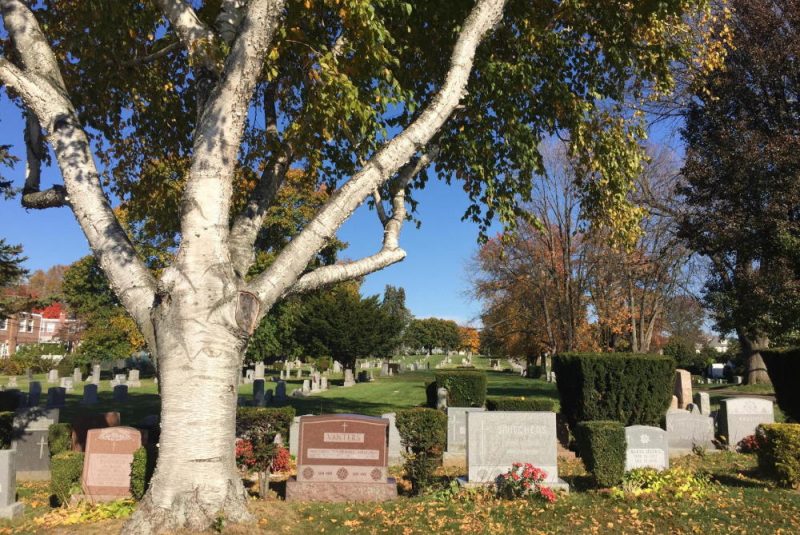 Burial Records Montrose Cemetery